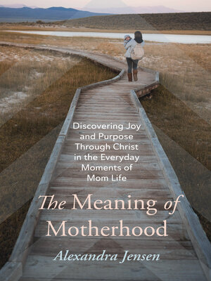 cover image of The Meaning of Motherhood